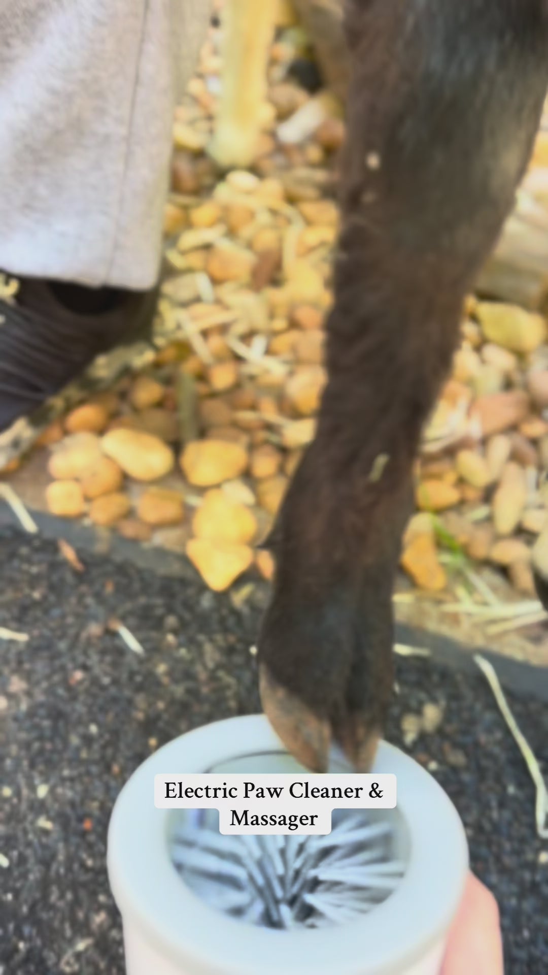 Automatic Dog & Cat Paw Cleaner - Smooth Paws, Happy Pets