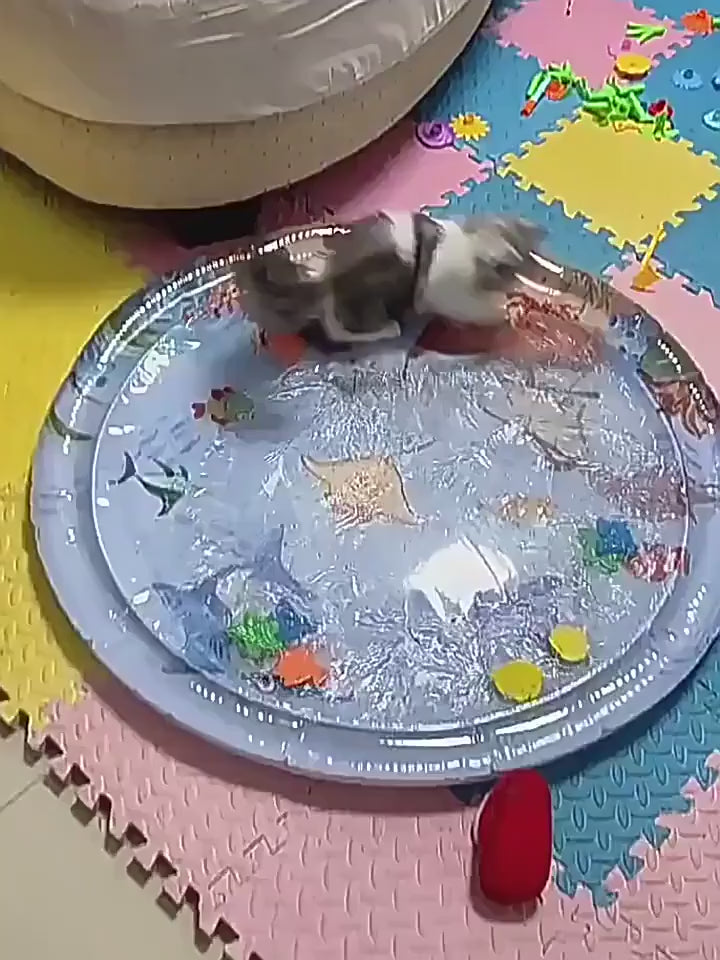 Cat Mat - Splash-free Fun for Cats