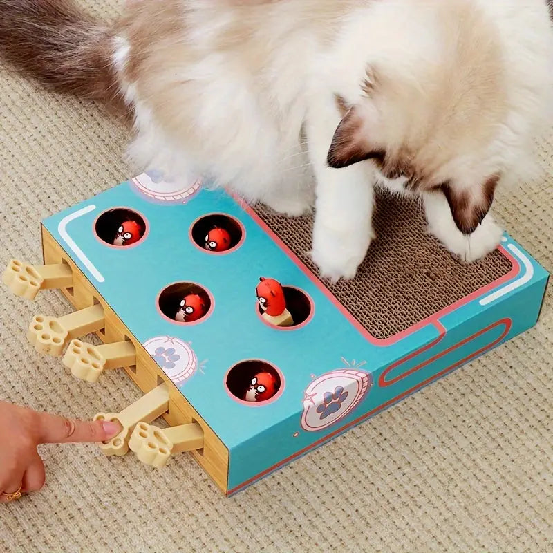 Play & Collect