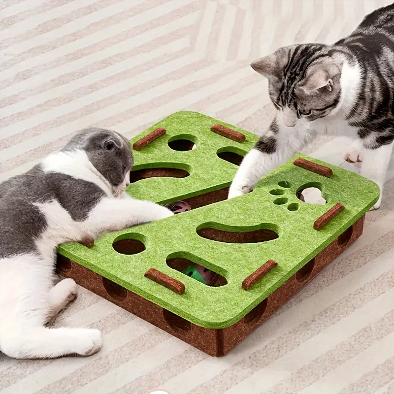 Interactive Cat Maze - Hunt, Chase, Play