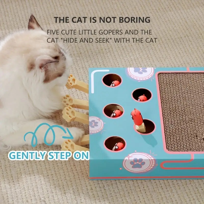 Interactive Cat Toy with Scratcher - Scratch, Chase, Repeat