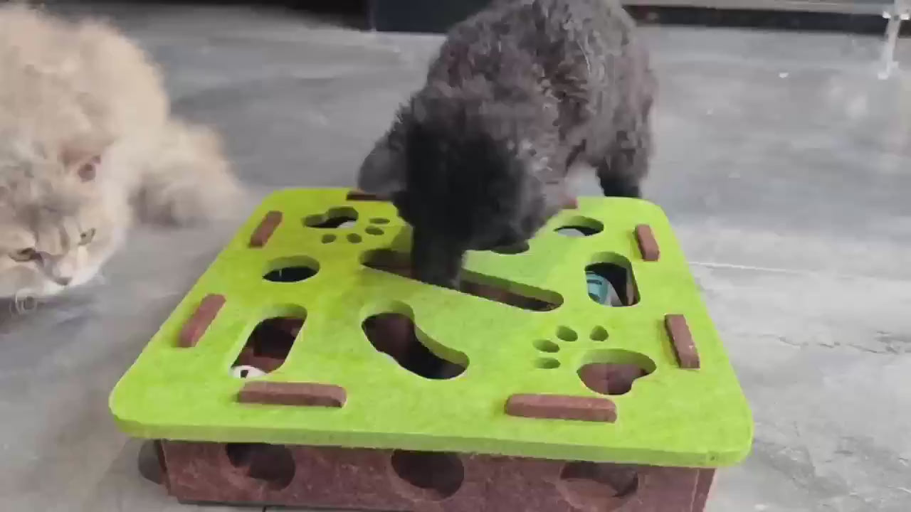 Interactive Cat Maze - Hunt, Chase, Play
