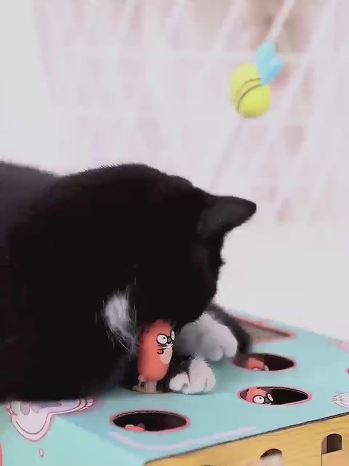 Interactive Cat Toy with Scratcher - Scratch, Chase, Repeat